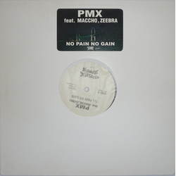 Dj Pmx No Pain, No Gain VINYL 12" - 33 ⅓ RPM Maxi-Single Promo Stereo
