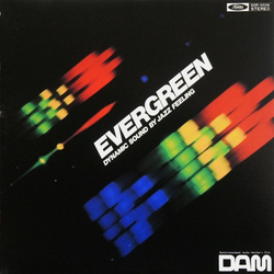 Dynamic Special Sound Orchestra Evergreen VINYL LP - 45 RPM Stereo