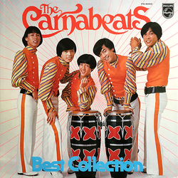The Carnabeats Best Collection VINYL LP - Compilation