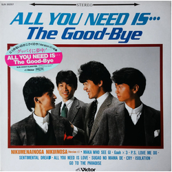 The Good-Bye All You Need Is... VINYL LP