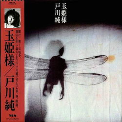 Jun Togawa 玉姫様 VINYL LP - Promo