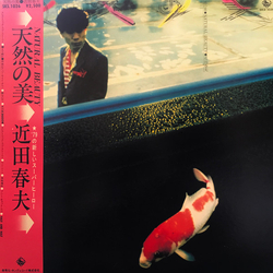 Haruo Chikada 天然の美 VINYL LP - Promo