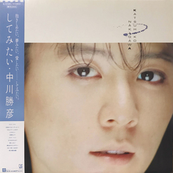 中川勝彦 してみたい VINYL LP - Stereo
