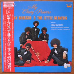 Jimmy Briscoe And The Beavers My Ebony Princess VINYL LP - Reissue