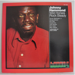Johnny Hammond Wild Horses Rock Steady VINYL LP