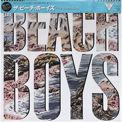 The Beach Boys The Beach Boys The Beach Boys = ザ・ビーチ・ボーイズ VINYL LP