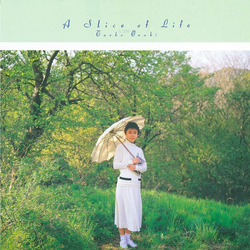 Taeko Ohnuki A Slice Of Life VINYL LP - Stereo