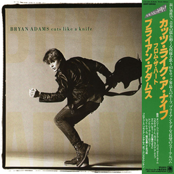 Bryan Adams Cuts Like A Knife VINYL LP