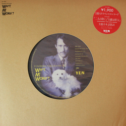 Yukihiro Takahashi What, Me Worry? VINYL 12" - EP