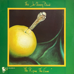 The Joe Chemay Band The Riper The Finer VINYL LP US