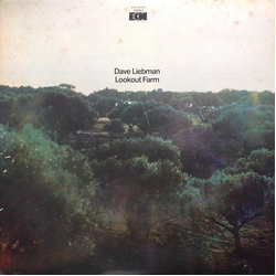 David Liebman David Liebman Lookout Farm = ルックアウト・ファーム VINYL LP - Stereo