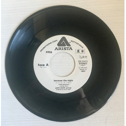 Patti Smith Group Because The Night / ビコーズ・ザ・ナイト VINYL 7" - 45 RPM Promo Single
