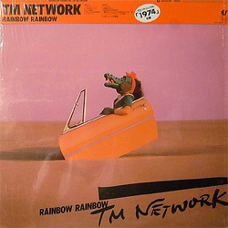 Tm Network Rainbow Rainbow VINYL LP