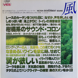 No Artist 風 VINYL LP