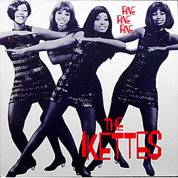The Ikettes Fine Fine Fine VINYL LP - Compilation Reissue