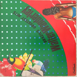 Walter Wanderley Brazil's Greatest Hits VINYL LP - Stereo