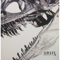 Boom Boom Satellites Umbra VINYL LP