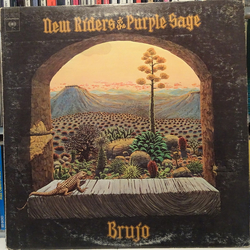 New Riders Of The Purple Sage Brujo VINYL LP