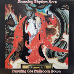 The Amazing Rhythm Aces Burning The Ballroom Down VINYL LP