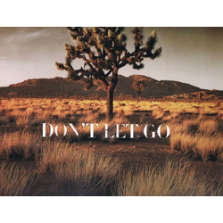 Mondo Grosso Don't Let Go VINYL 12INCH
