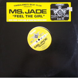 Ms. Jade Feel The Girl VINYL 12" - Promo Stereo