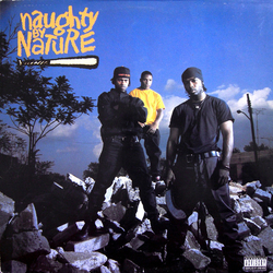 Naughty By Nature Naughty By Nature VINYL LP
