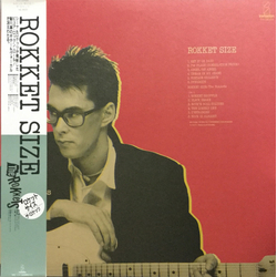 Sheena & The Rokkets Rokket Size VINYL LP