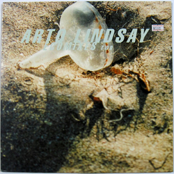 Arto Lindsay Ecomixes Two VINYL 12INCH