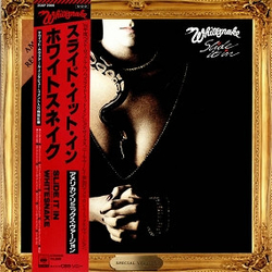 Whitesnake Slide It In VINYL LP
