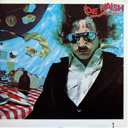 Joe Walsh But Seriously, Folks... VINYL LP - Stereo
