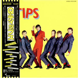 The Q Tips Q-Tips VINYL LP