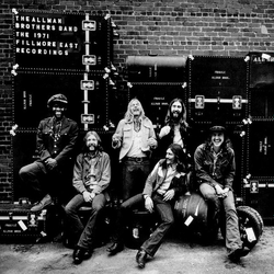 The Allman Brothers Band The Allman Brothers Band At Fillmore East VINYL LP - Reissue