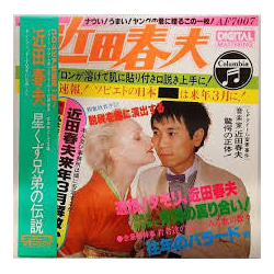 Haruo Chikada 星くず兄弟の伝説 VINYL LP Japan