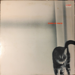 Various Echoes Of Youth VINYL LP - Compilation Promo