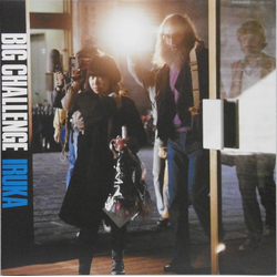 Iruka Big Challenge VINYL LP