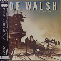 Joe Walsh You Bought It - You Name It VINYL LP