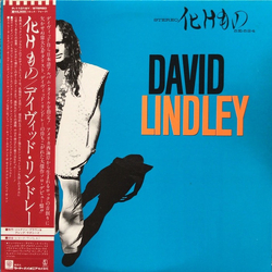 David Lindley 化けもの VINYL LP