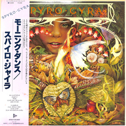Spyro Gyra Morning Dance VINYL LP
