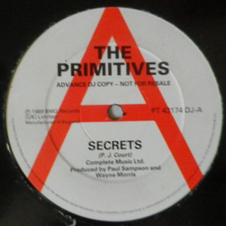 The Primitives Secrets VINYL 12" - Promo