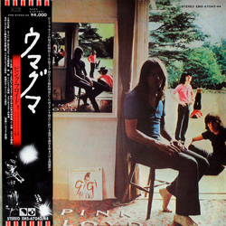 Pink Floyd Ummagumma VINYL LP - Reissue