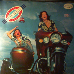 Sanford & Townsend Duo-Glide VINYL LP - Promo Stereo