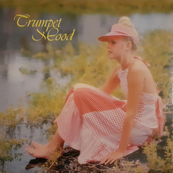 New Sun Pops Orchestra Trumpet Mood VINYL LP