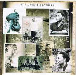 The Neville Brothers Family Groove VINYL LP