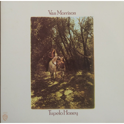 Van Morrison Tupelo Honey VINYL LP - Reissue
