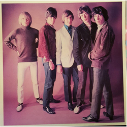 The Rolling Stones Collector's Only VINYL LP - Compilation Mono Reissue