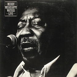 Muddy Waters Muddy "Mississippi" Waters Live VINYL LP - Reissue Stereo