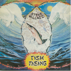 Steve Hillage Fish Rising VINYL LP - Reissue Stereo