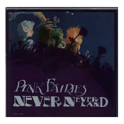 The Pink Fairies Never - Neverland VINYL LP - Reissue Unofficial Release