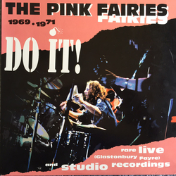 The Pink Fairies Do It! VINYL LP - Compilation
