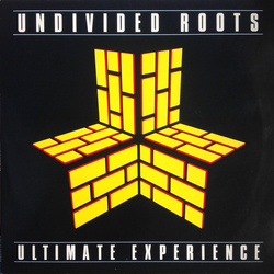 Undivided Roots Ultimate Experience VINYL LP